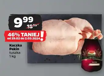 Netto Kaczka oferta