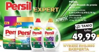 Kaufland Proszek do prania Persil oferta