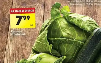 Biedronka Kapusta młoda, szt. oferta