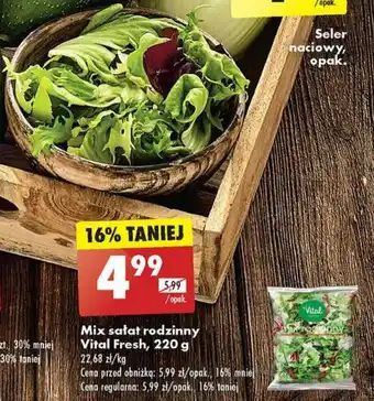 Biedronka Mix sałat rodzinny Vital Fresh, 220 g oferta