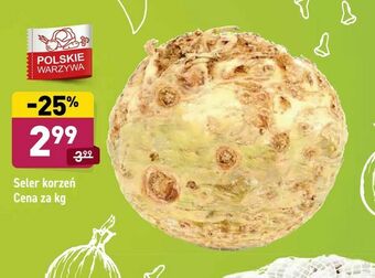 ALDI Seler korzeń oferta