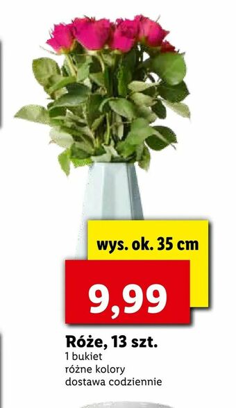Lidl Róże, 13 szt oferta