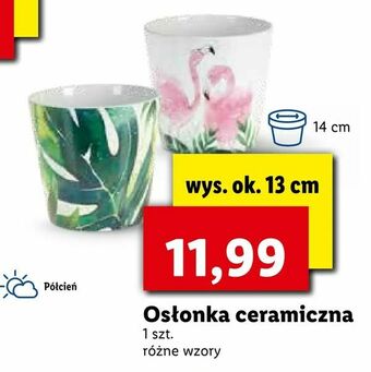 Lidl Osłonka ceramiczna oferta