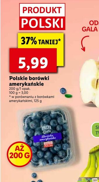 Lidl Polskie borówki amerykańskie oferta