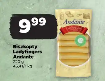 Netto Biszkopty Lady fingers Andante oferta