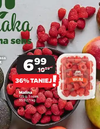 Netto Malina oferta