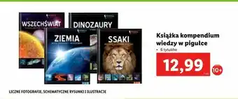 Lidl Książka kompendium wiedzy w pigułce oferta