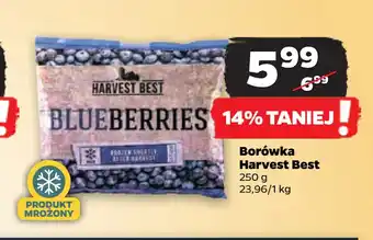 Netto Borówka Harvest Best oferta