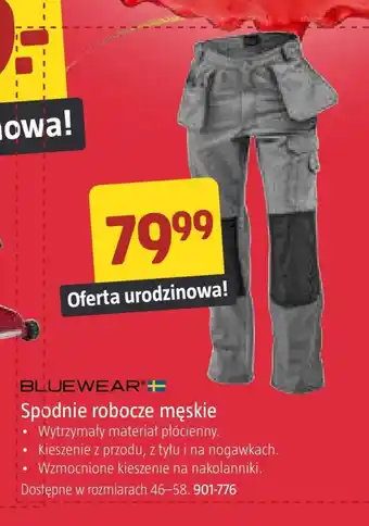 Jula Spodnie robocze męskie Bluewear oferta