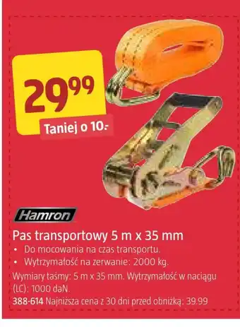Jula Pas transportowy Hamron oferta