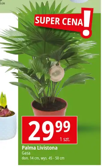 E.Leclerc Palma Gasa oferta