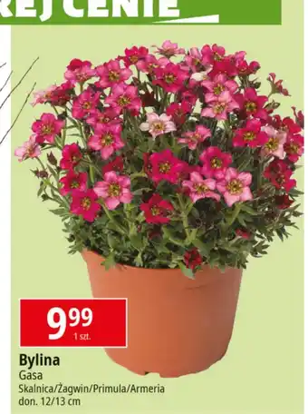 E.Leclerc Bylina Gasa oferta