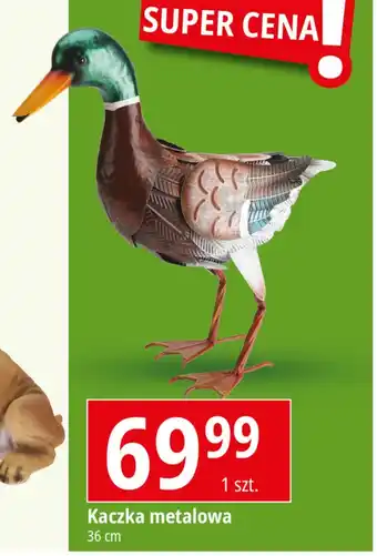 E.Leclerc Dekoracja ogrodowa oferta