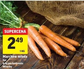Intermarche Marchew młoda 1kg oferta
