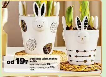 Netto Doniczka wielkanocna królik oferta