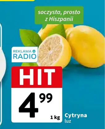 Intermarche Cytryna luz 1 kg oferta