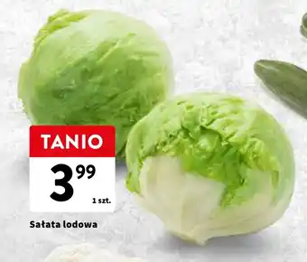 Intermarche Sałata lodowa 1 szt. oferta