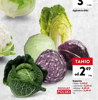 Intermarche Kapusta biała 1 kg oferta