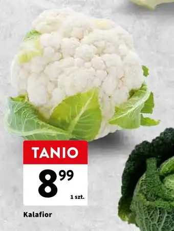 Intermarche Kalafior 1 szt. oferta