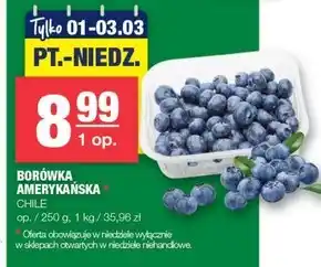 Spar Borówka amerykańska oferta