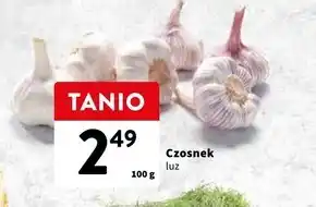 Intermarche Czosnek oferta
