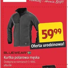 Jula Kurtka męska Bluewear oferta