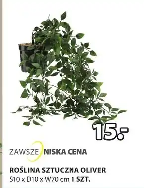 JYSK Sztuczna roślina oferta