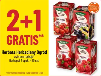 Polomarket Herbata Herbaciany Ogród Herbapol 20 szt. oferta
