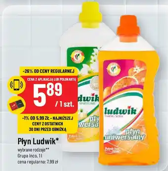 Polomarket Płyn Ludwik Grupa Inco, 1l oferta
