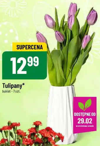 Polomarket Tulipany 7 szt. oferta
