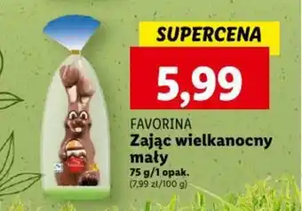 Lidl Zając wielkanocny mały 75 g oferta