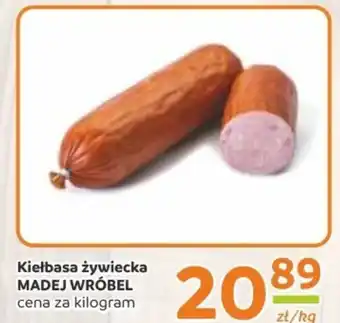 Gama Kiełbasa Madej Wróbel oferta