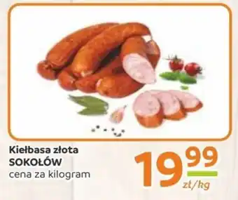 Gama Kiełbasa Sokołów oferta
