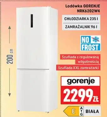 Neopunkt Lodówka Gorenje oferta