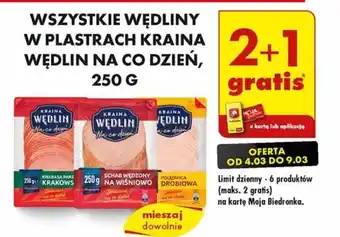 Biedronka WSZYSTKIE WĘDLINY W PLASTRACH KRAINA WĘDLIN NA CO DZIEŃ, 250 G oferta
