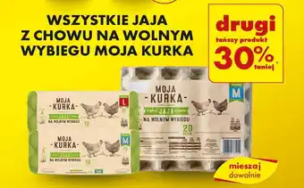 Biedronka WSZYSTKIE JAJA Z CHOWU NA WOLNYM WYBIEGU MOJA KURKA oferta