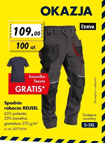 Spodnie robocze Reusel