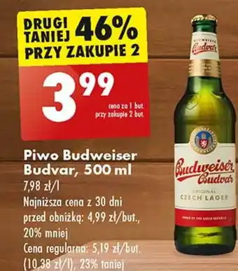 Biedronka Piwo Budweiser oferta