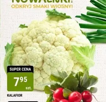 bi1 KALAFIOR oferta