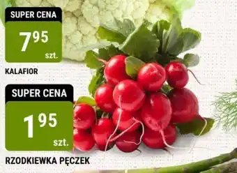 bi1 RZODKIEWKA PĘCZEK oferta