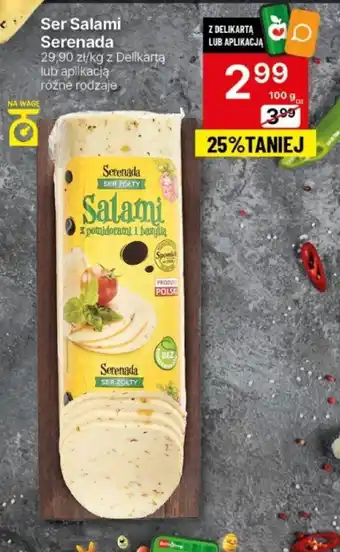 Delikatesy Centrum Ser Salami Serenada 100g oferta