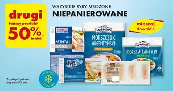 Biedronka WSZYSTKIE RYBY MROŻONE NIEPAROWANE oferta