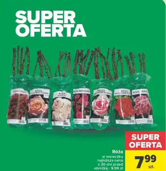 Carrefour Róża oferta