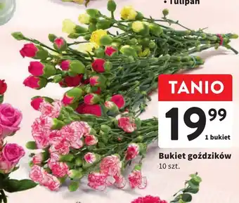 Intermarche Bukiet goździków 10 szt. oferta