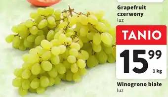 Intermarche Winogrono białe 1 kg oferta