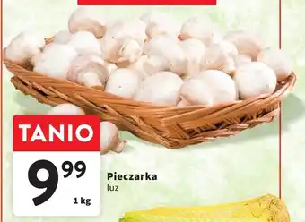 Intermarche Pieczarka 1 kg oferta