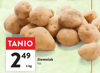 Intermarche Ziemniak luz 1 kg oferta