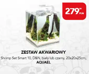 AquaelZOO Zestaw akwariowy Aquael oferta