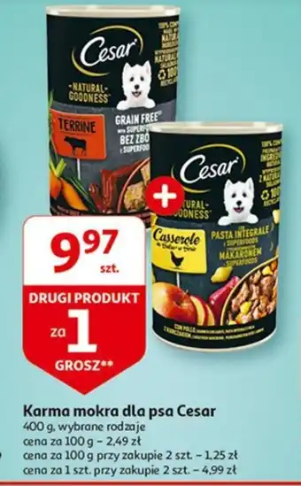 Auchan Karma mokra dla psa Cesar 400 g oferta