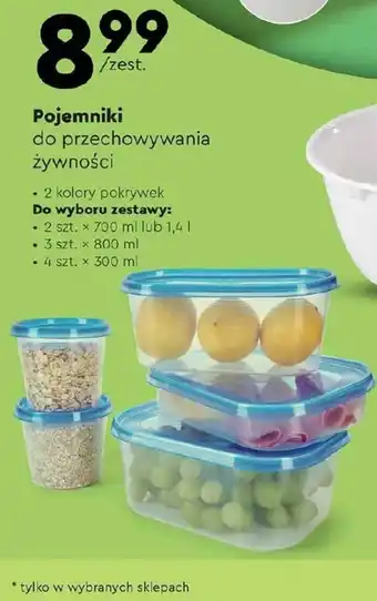 Biedronka Pojemnik do przechowywania oferta